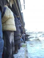 Une haie au bord de la Seine