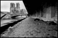 sdf du long de la seine