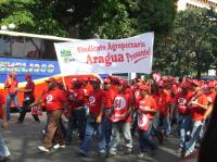 venezuela Manifestation pour le Si au réferendum constitutionnel