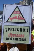 Santander. Danger! Requins en Amazonie