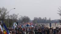 cortège route du petit Rhin