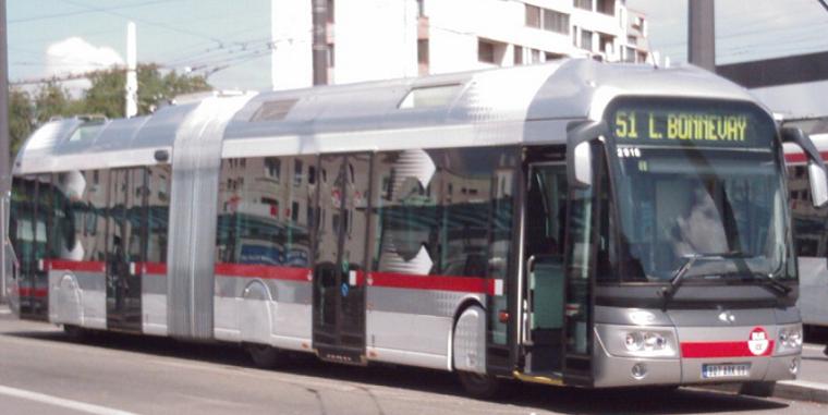 51.jpg