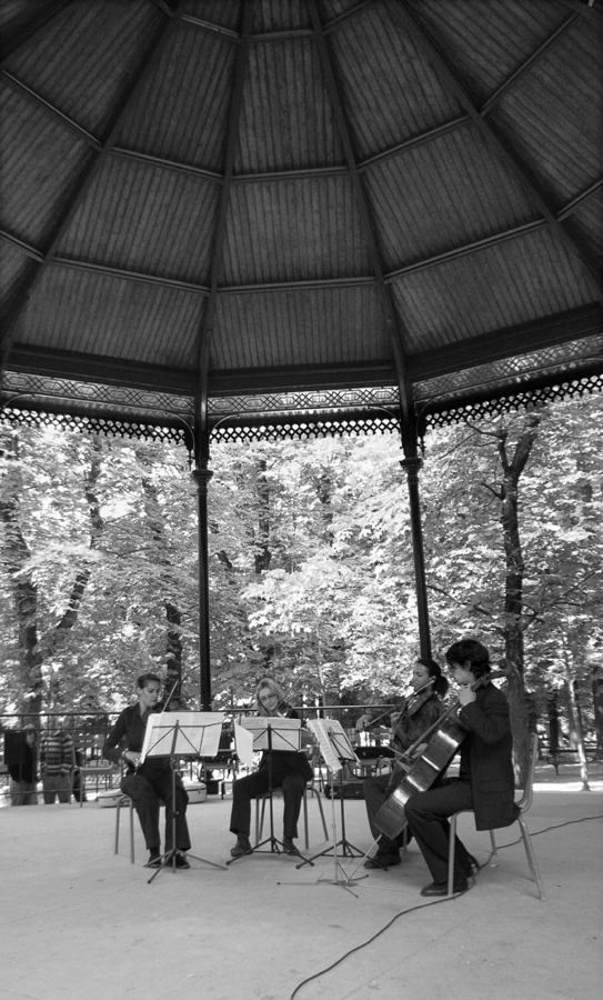 2007_05_15_gr035c.jpg