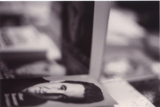 Besancenot_livre.jpg
