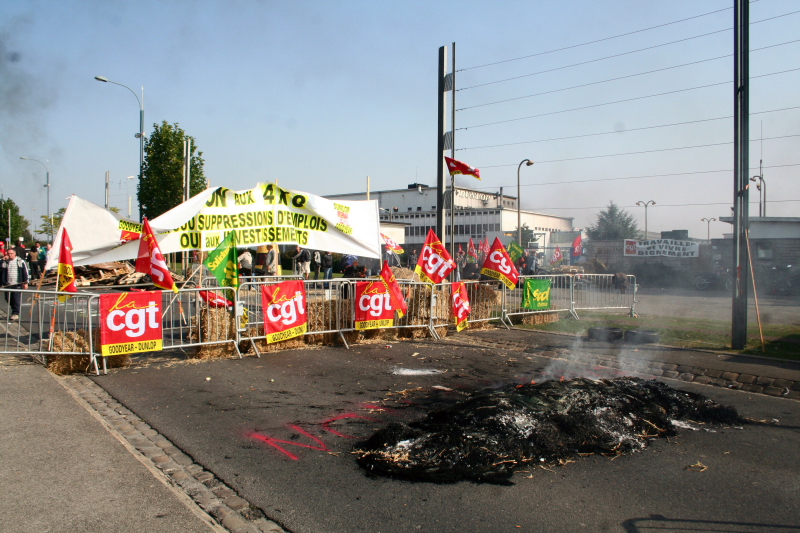 IMG_7989.jpg