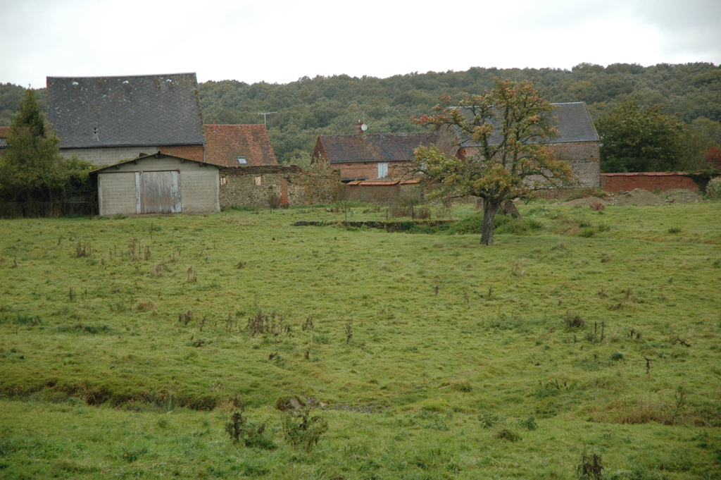 DSC_0378.JPG