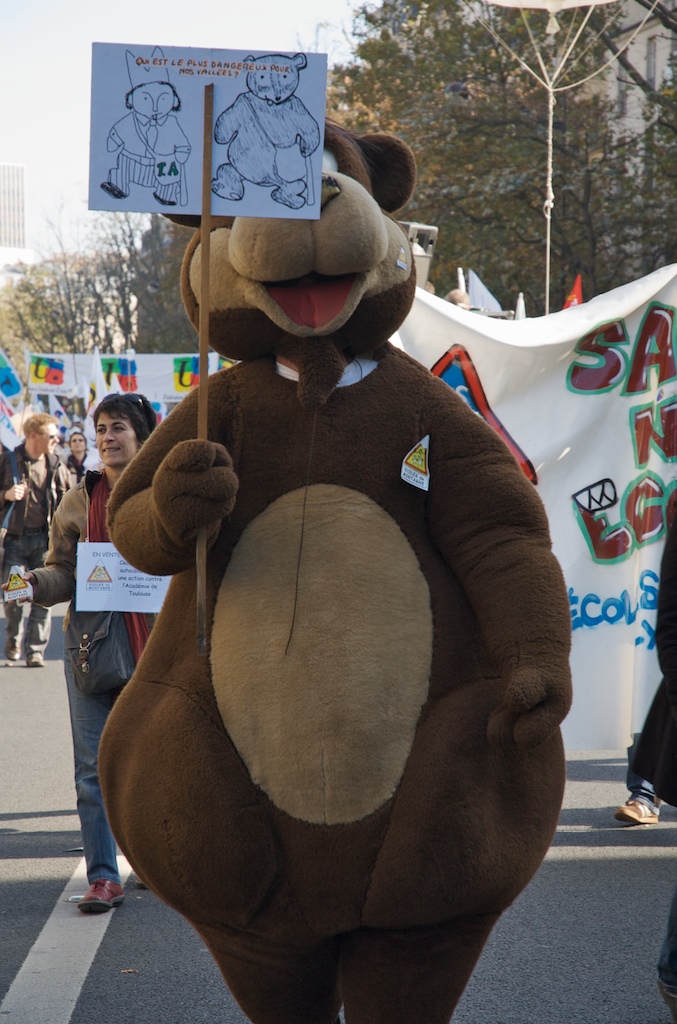 2008-10-19__14-09-15.jpg