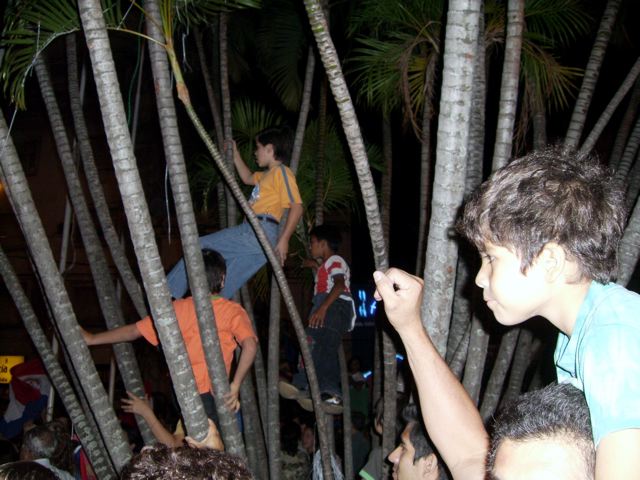 082_82_2.jpg