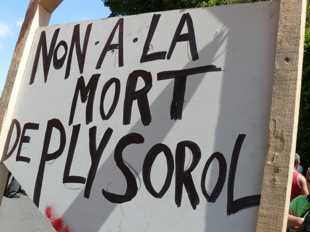P1020153.jpg