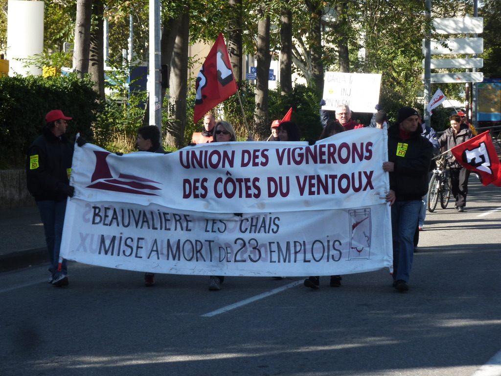 P1080271.jpg