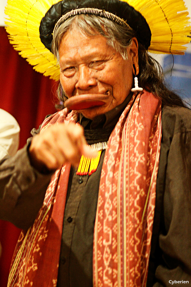 Raoni_4978.jpg