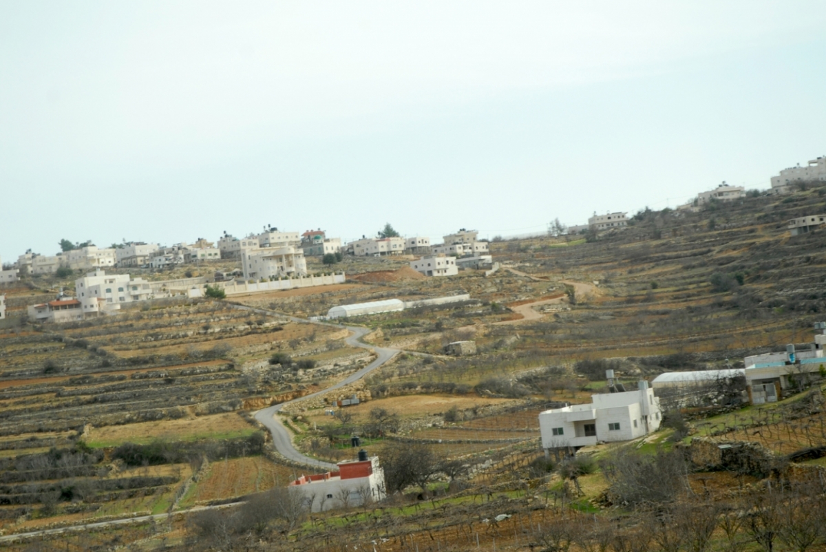 palestine_20120131.JPG