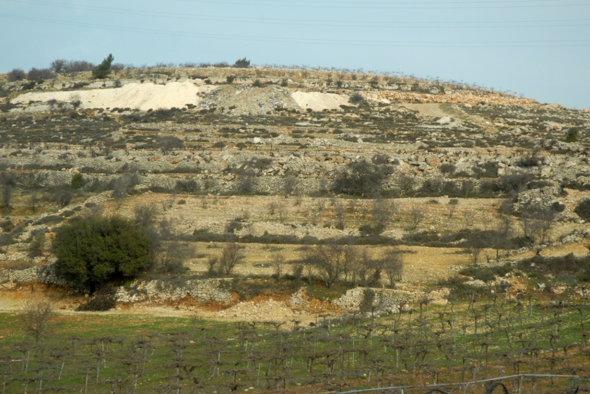 palestine_20120135.JPG