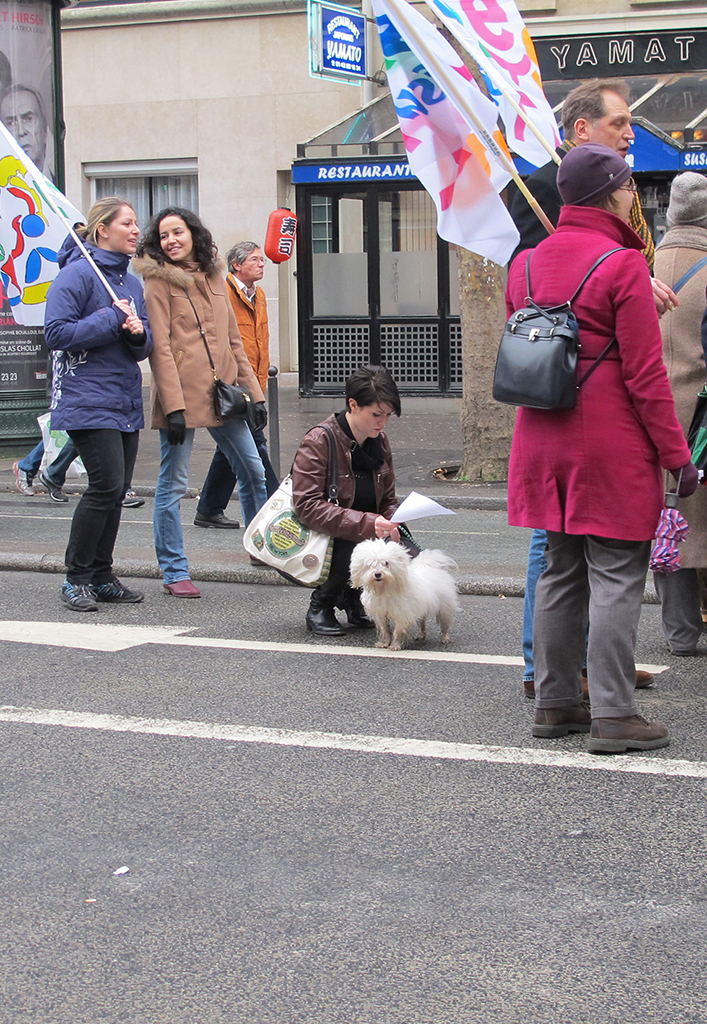 130131_manif_Paris_fonction_publique_131.jpg