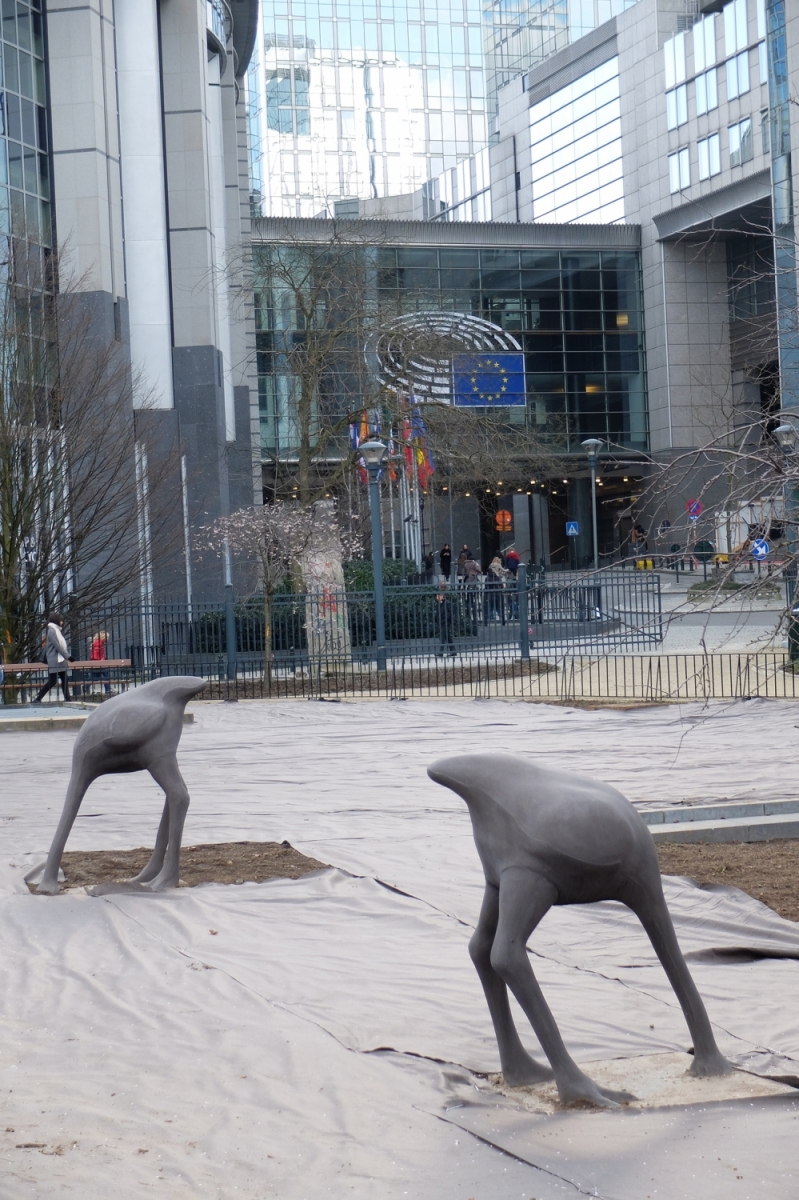bruxelles201720170205.jpg