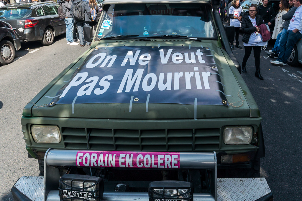 dsc_7823.jpg