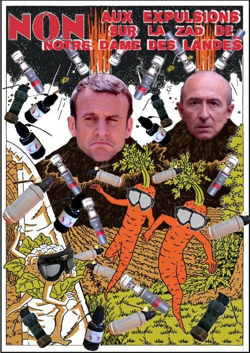 non_aux_expulsions_sur_nddl.jpg