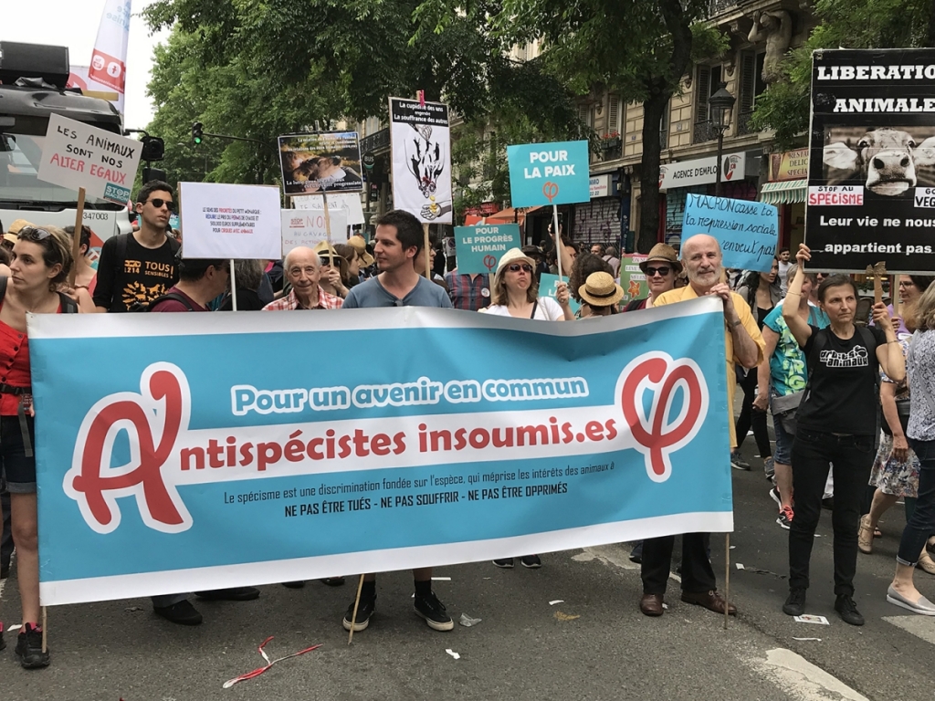mareePopulaire201820180087.jpg