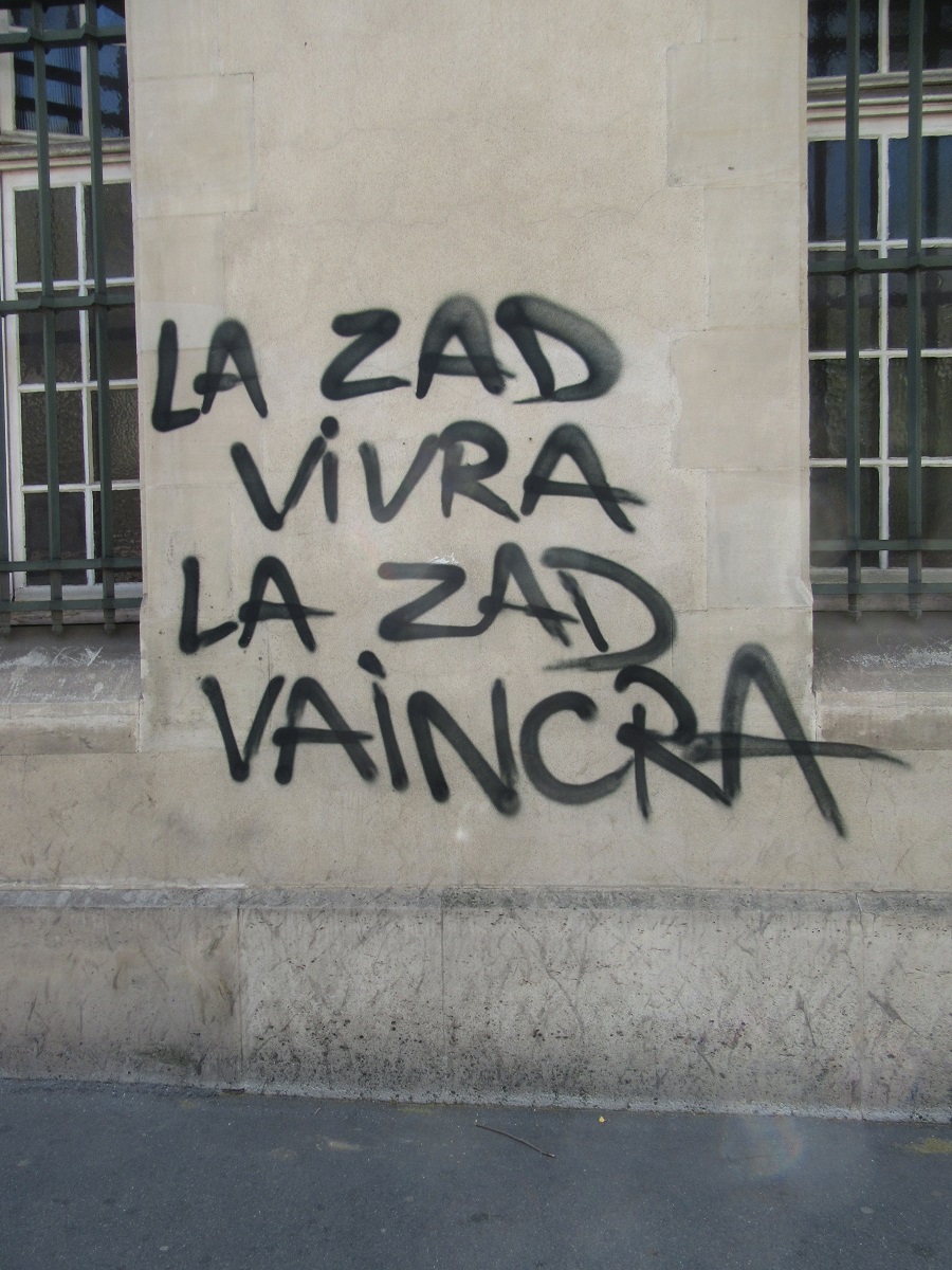 zad_v.jpg