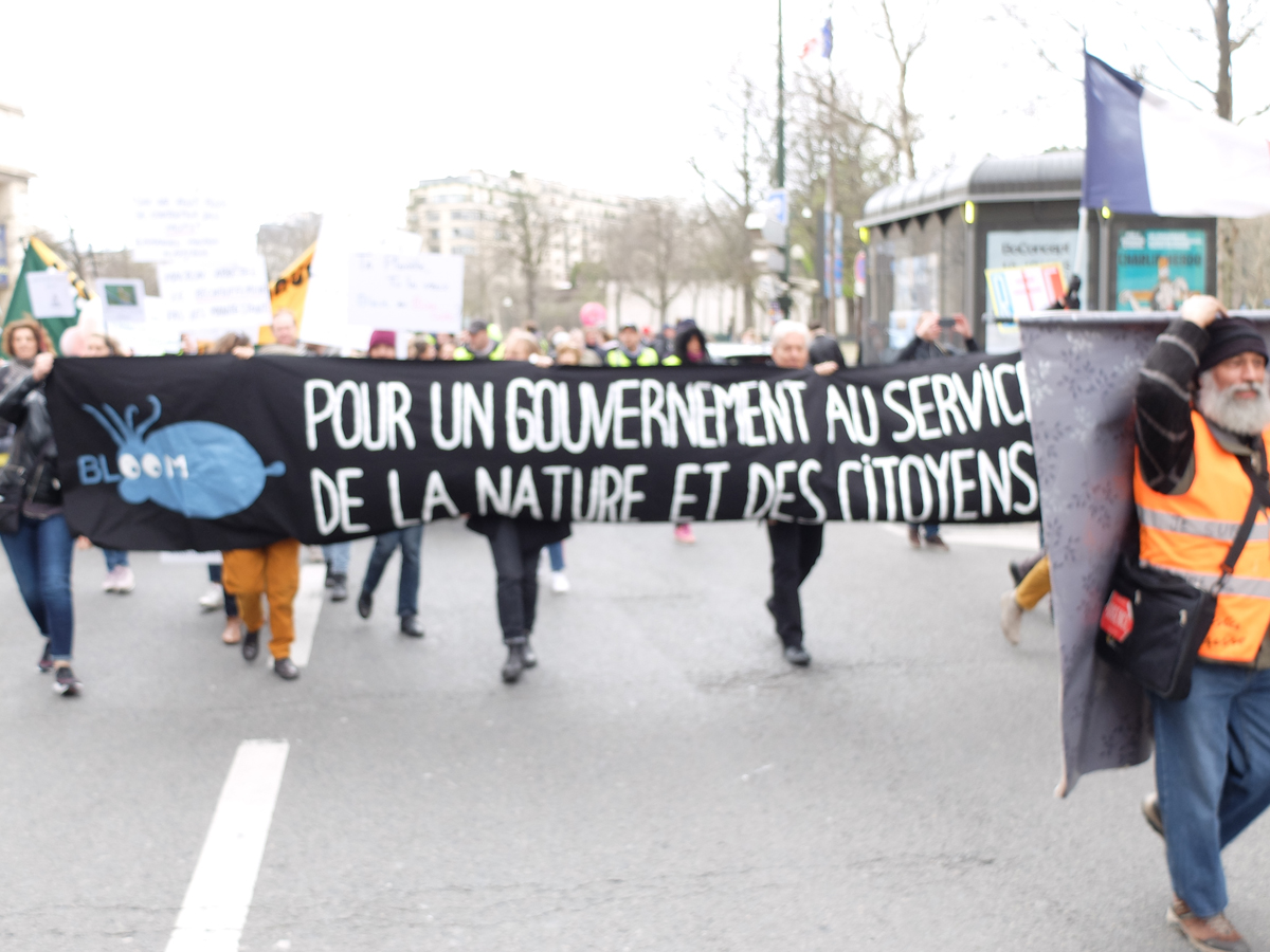 GiletsJaunes16mars20190316_0002.jpg