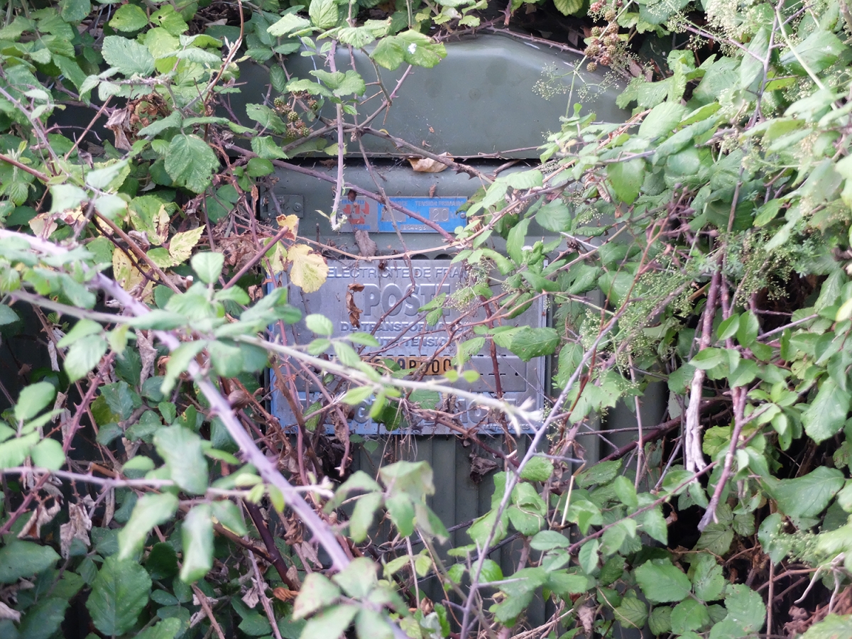 DSCF1168.jpg