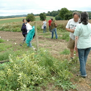 amap9juillet06027