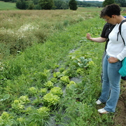 amap9juillet06041