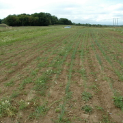 amap9juillet06045