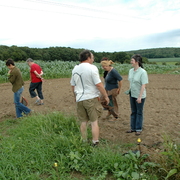 amap9juillet06043