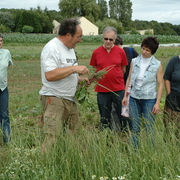 amap9juillet06050