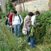 amap9juillet06058