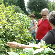amap9juillet06063