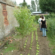 amap9juillet06061