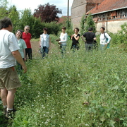 amap9juillet06059