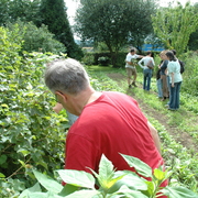 amap9juillet06064