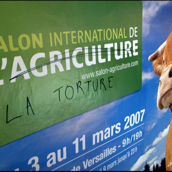 Biodiversité et défense des animaux