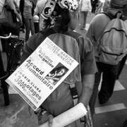 Manifestante