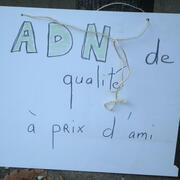 ADN, à vendre !
