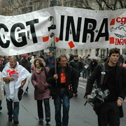 20novembre0776