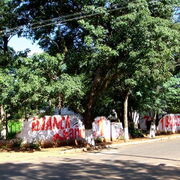 Campagne de Blanca Ovelar, Parti Colorado