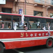Asuncion Partisans de Lino Oviedo -Cars