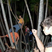 Asuncion 20/04/08 liesse populaire