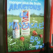 ARRETONS LE MASSACRE