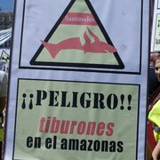 Santander. Danger! Requins en Amazonie