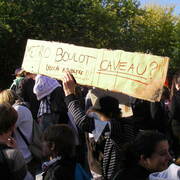 Lisieux (14) manif 12/10/10