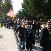 Avignon