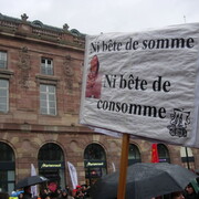 Ni bête de somme, ni bête de consomme !