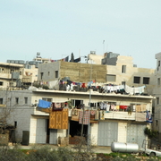 palestine 20120161