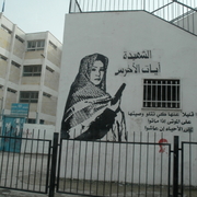 palestine 20120165