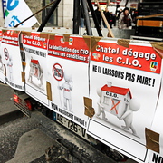 Manif 31/01/2012